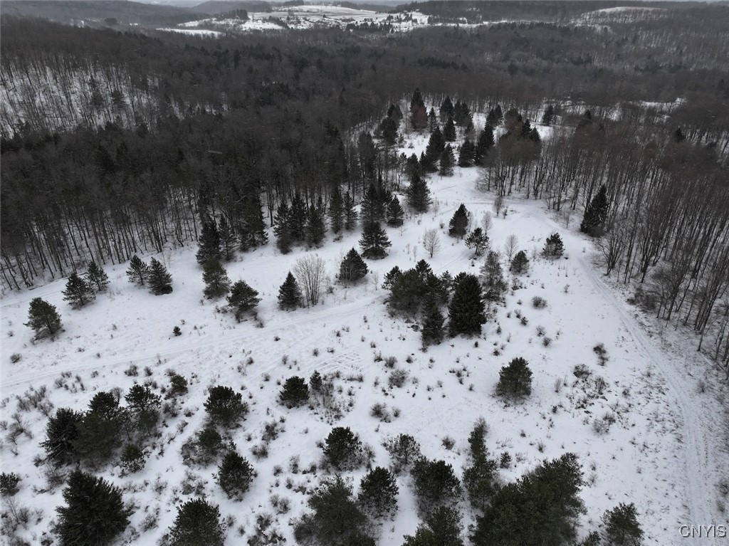 10020 Mclaughlin Road Machias, NY 14171 - Photo 31 of 49