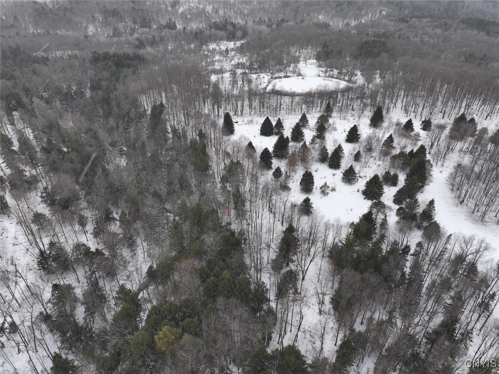 10020 Mclaughlin Road Machias, NY 14171 - Photo 32 of 49