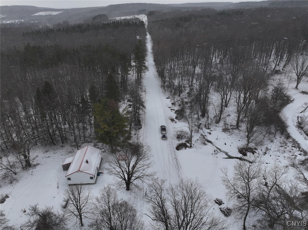 10020 Mclaughlin Road Machias, NY 14171 - Photo 33 of 49