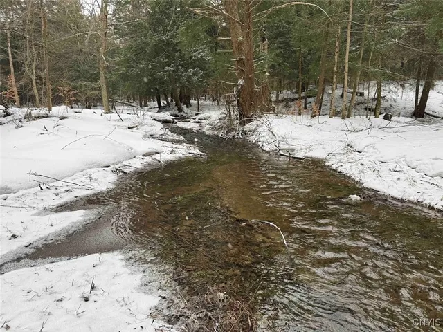 $574,900 | 10020 Mclaughlin Road, Machias, NY 14171