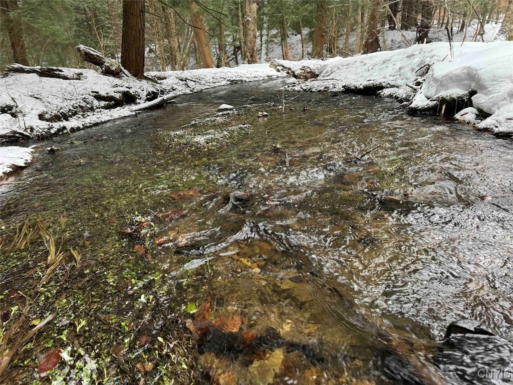 10020 Mclaughlin Road Machias, NY 14171 - Photo 36 of 49