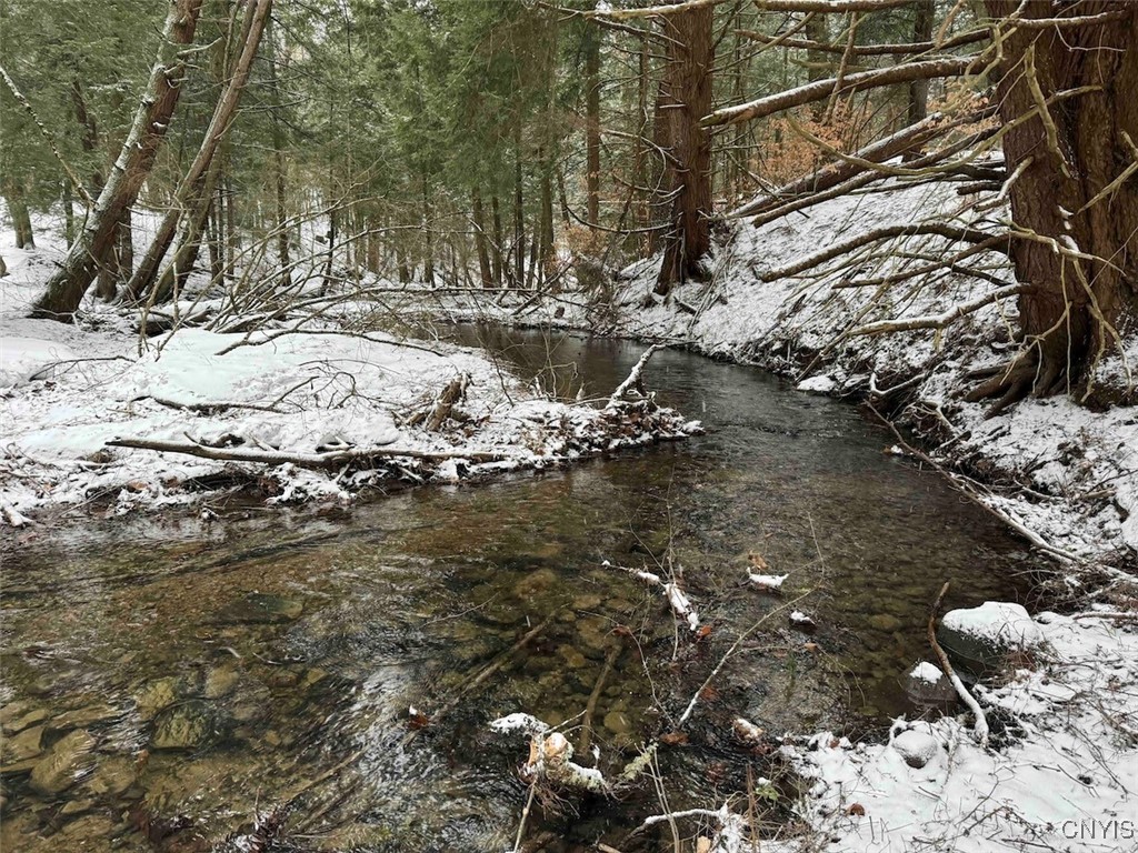 10020 Mclaughlin Road Machias, NY 14171 - Photo 37 of 49