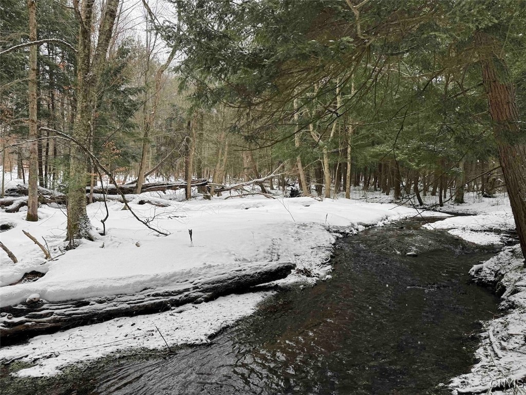 10020 Mclaughlin Road Machias, NY 14171 - Photo 39 of 49