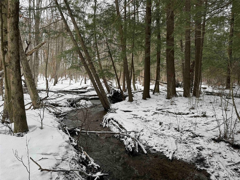 10020 Mclaughlin Road Machias, NY 14171 - Photo 40 of 49