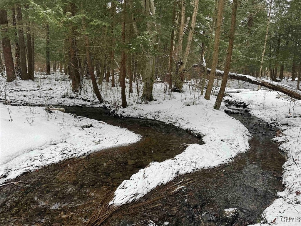 10020 Mclaughlin Road Machias, NY 14171 - Photo 41 of 49