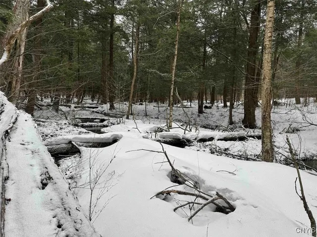 $574,900 | 10020 Mclaughlin Road, Machias, NY 14171