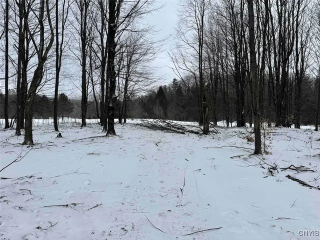 $574,900 | 10020 Mclaughlin Road, Machias, NY 14171