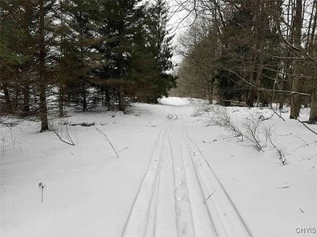 $574,900 | 10020 Mclaughlin Road, Machias, NY 14171