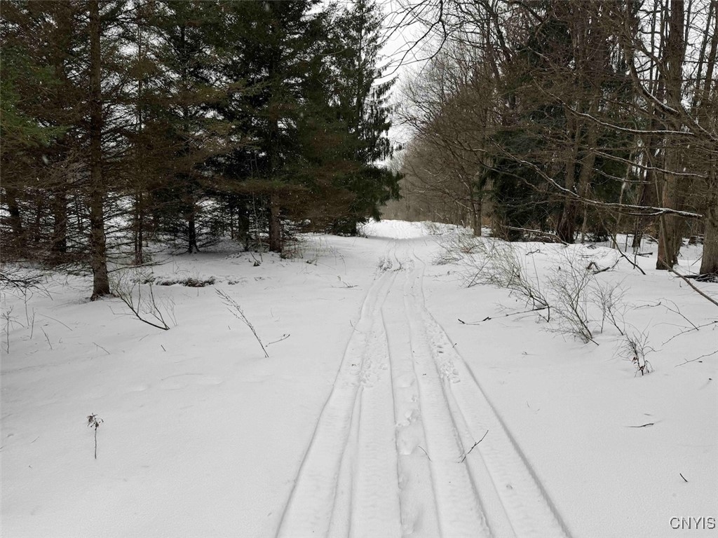 10020 Mclaughlin Road Machias, NY 14171 - Photo 45 of 49