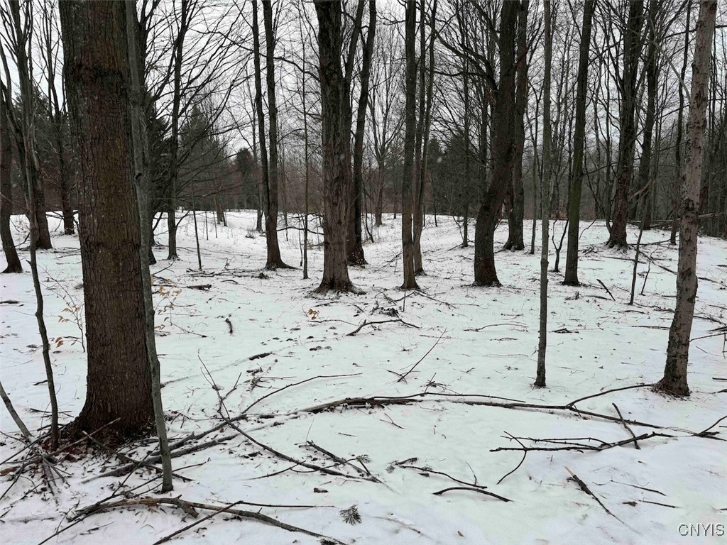 10020 Mclaughlin Road Machias, NY 14171 - Photo 46 of 49