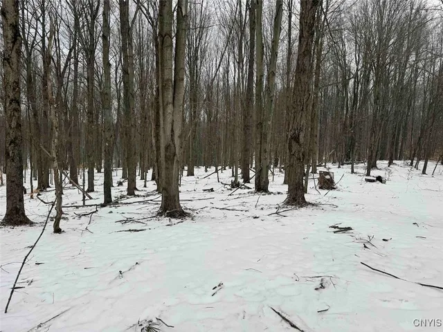 $574,900 | 10020 Mclaughlin Road, Machias, NY 14171