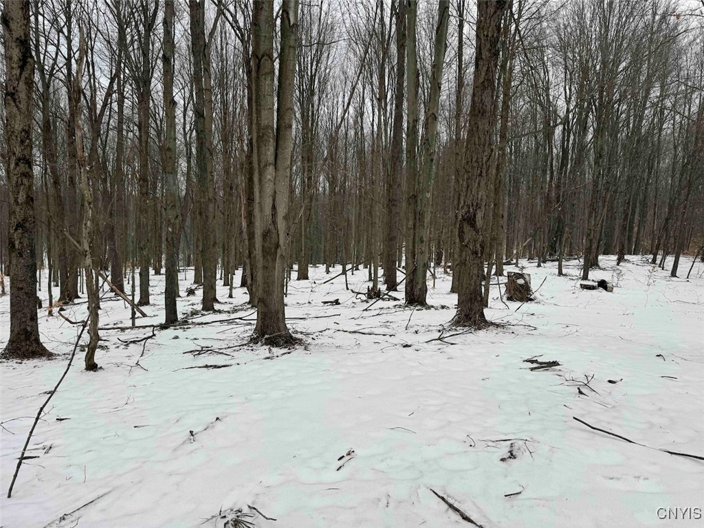 10020 Mclaughlin Road Machias, NY 14171 - Photo 47 of 49