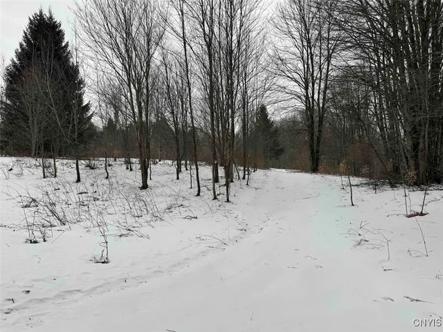 $574,900 | 10020 Mclaughlin Road, Machias, NY 14171