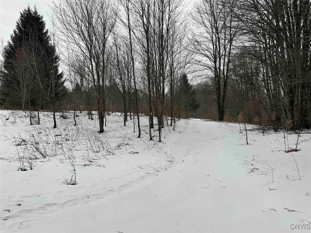 10020 Mclaughlin Road Machias, NY 14171 - Photo 48 of 49