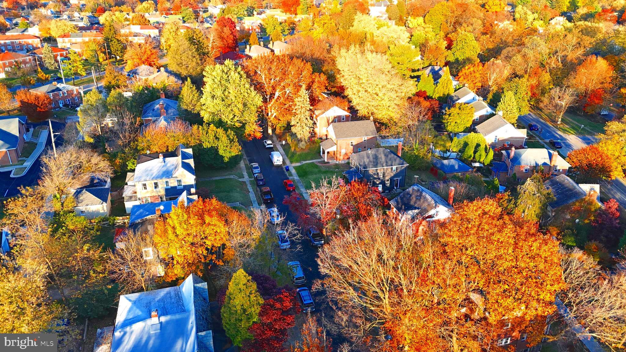 603 Stamford Road Baltimore, MD 21229 - Photo 59 of 62