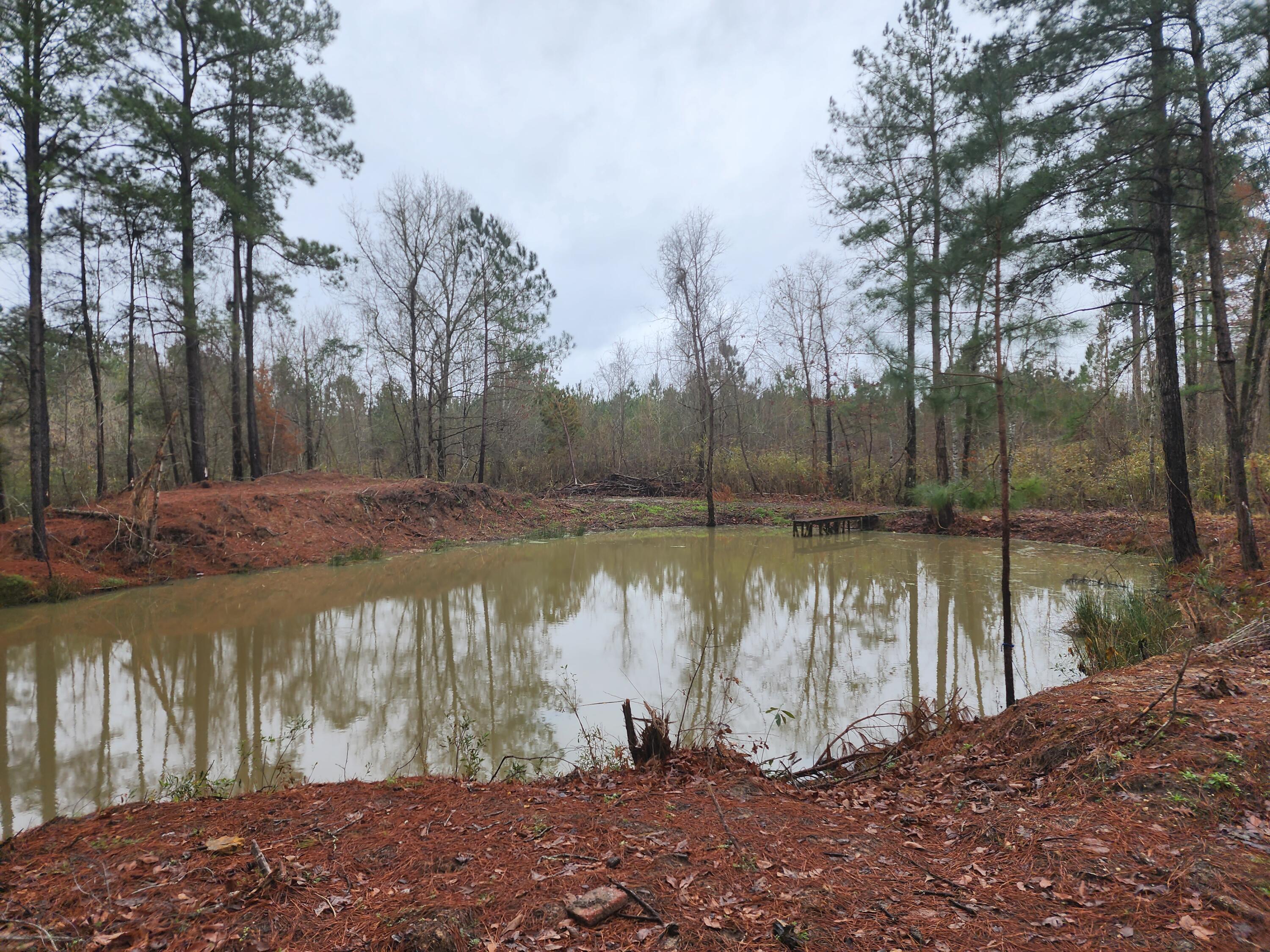 5628 Mauss Hill Road Adams Run, SC 29426 - Photo 1 of 27 Mauss Hill Photo