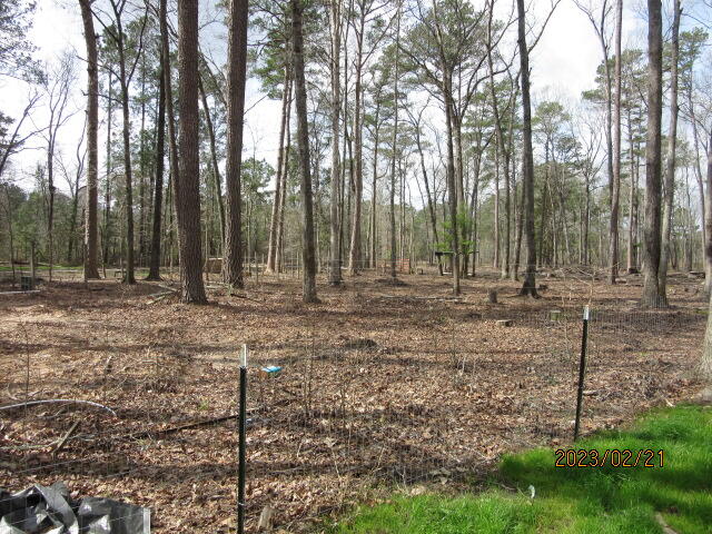 5628 Mauss Hill Road Adams Run, SC 29426 - Photo 12 of 27 IMG_4056