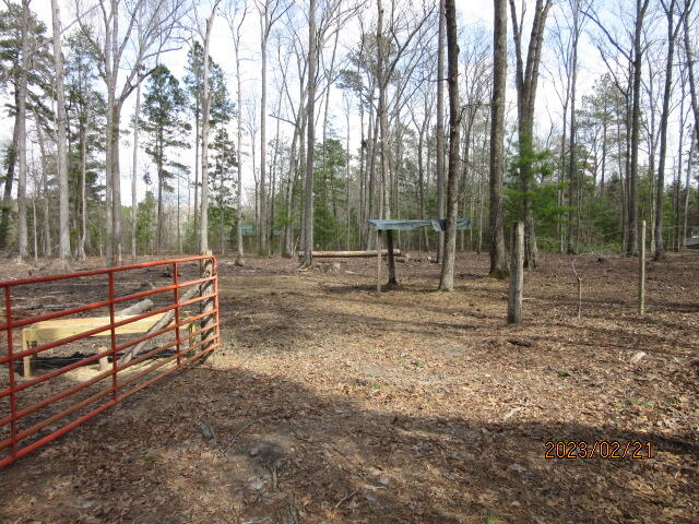 5628 Mauss Hill Road Adams Run, SC 29426 - Photo 2 of 27 IMG_4045