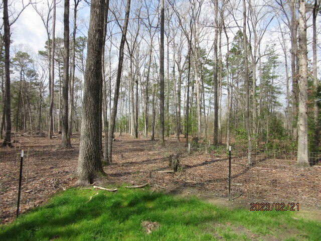 5628 Mauss Hill Road Adams Run, SC 29426 - Photo 26 of 27 IMG_4057