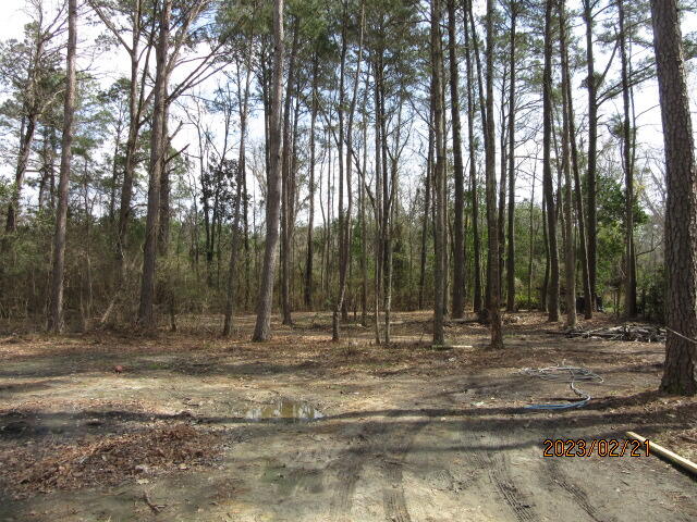 5628 Mauss Hill Road Adams Run, SC 29426 - Photo 27 of 27 IMG_4058