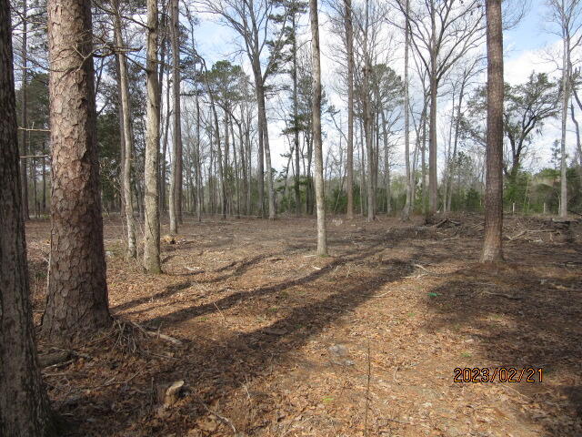 5628 Mauss Hill Road Adams Run, SC 29426 - Photo 3 of 27 IMG_4046