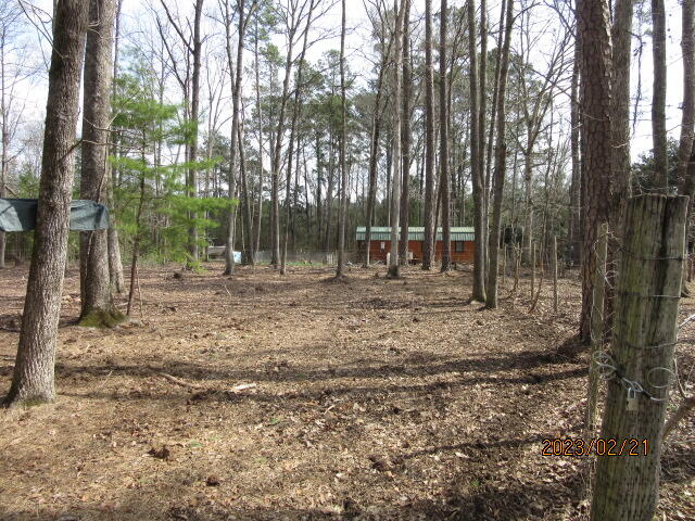 5628 Mauss Hill Road Adams Run, SC 29426 - Photo 4 of 27 IMG_4047