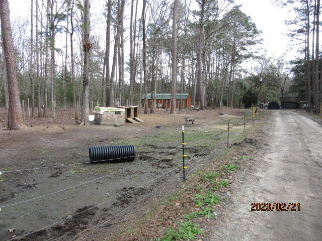 5628 Mauss Hill Road Adams Run, SC 29426 - Photo 6 of 27 IMG_4049