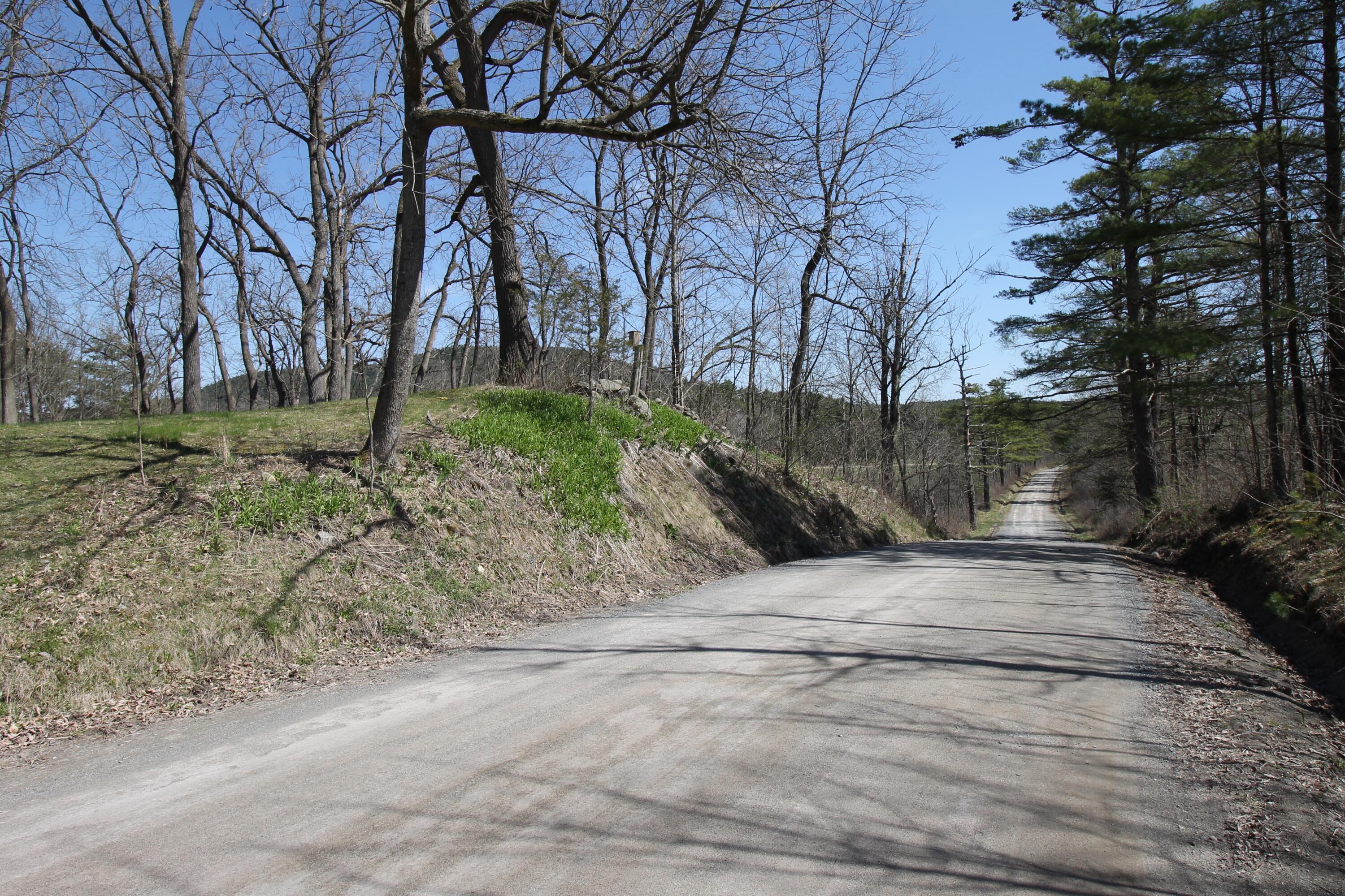 11 Morrison Road Westport, NY 12993 - Photo 46 of 57 Gallery Image 46