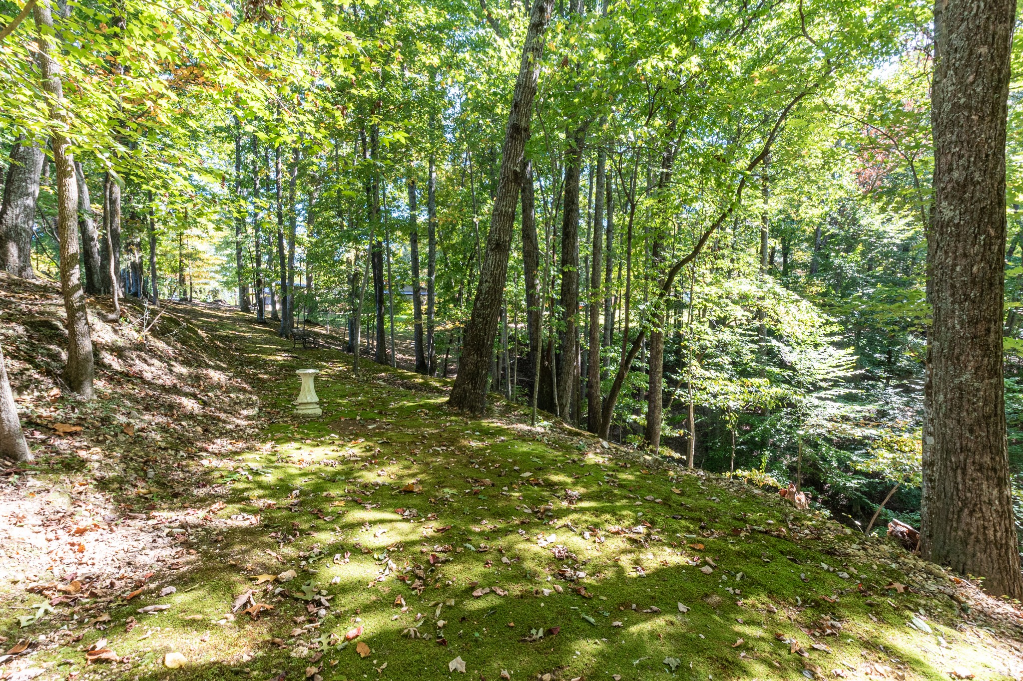 6089 Norman Thomas Road Silver Point, TN 38582 - Photo 36 of 37 a view of outdoor space with deck and yard