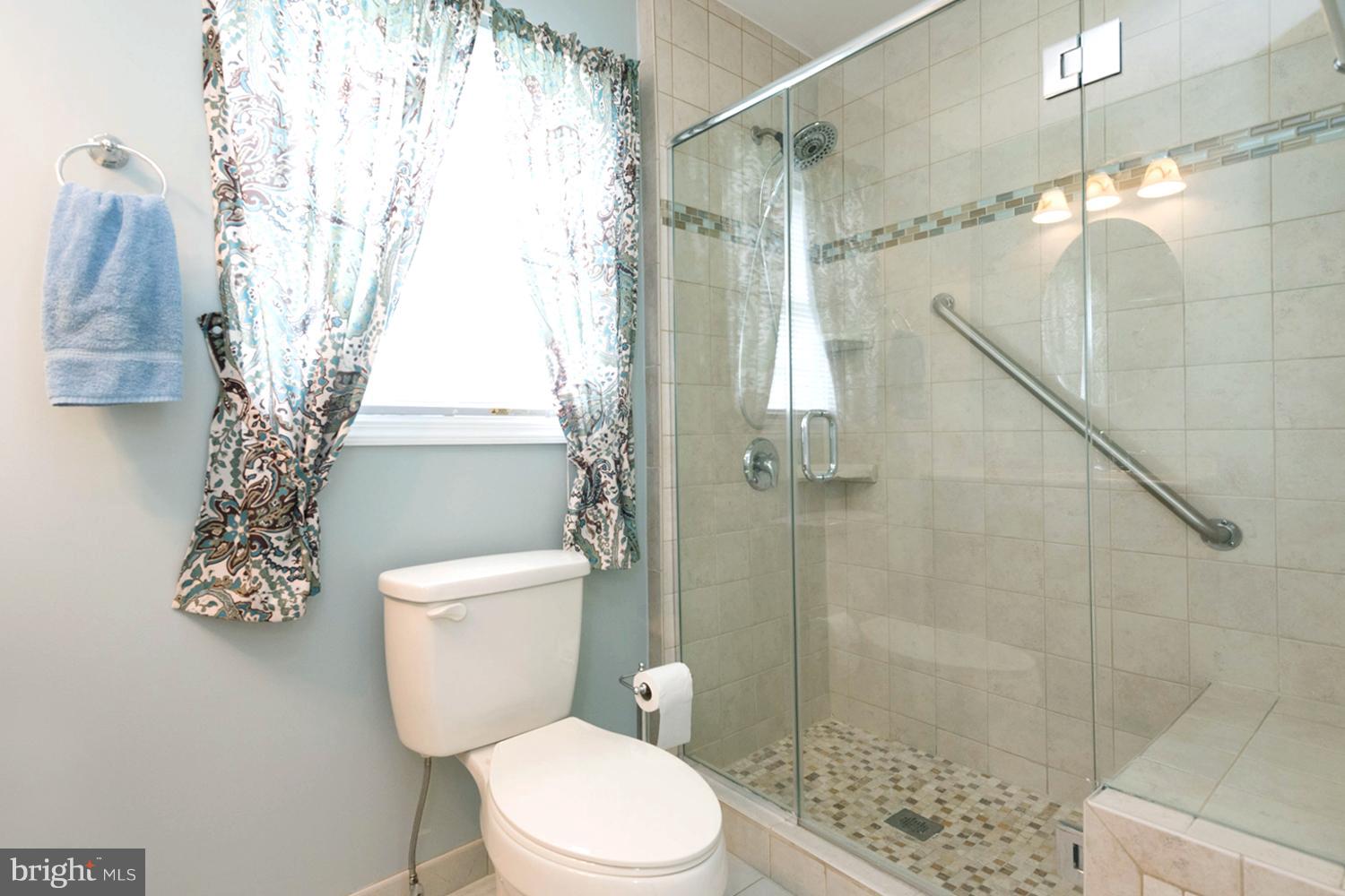 259 Harlem Road Pasadena, MD 21122 - Photo 23 of 30 Inlaid Artisan Tile Master Bath Shower