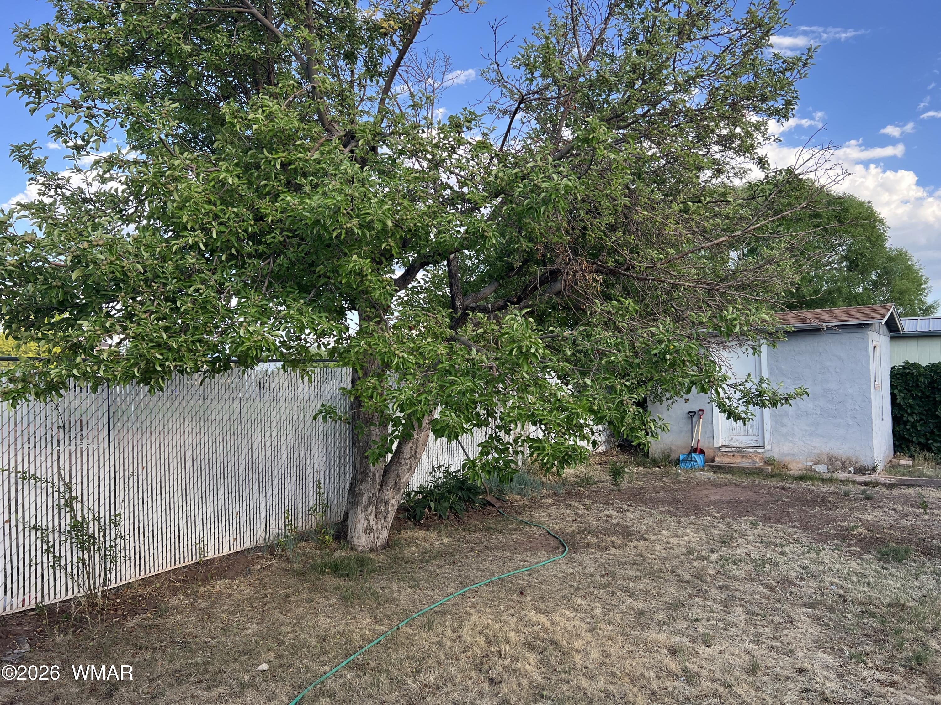 461 West Center Street Snowflake, AZ 85937 - Photo 2 of 31 IMG_4623 2