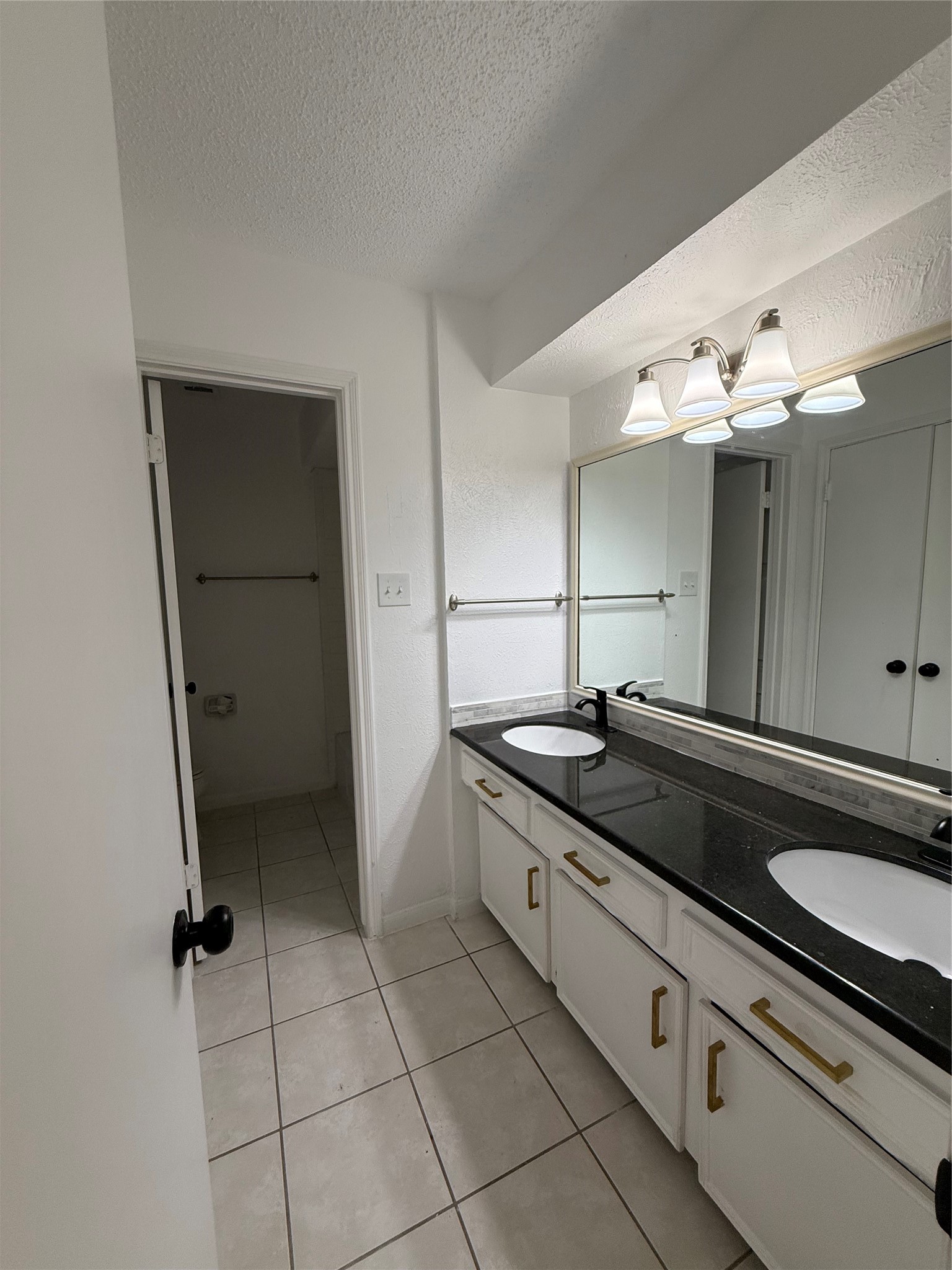 1847 Spruce Knob Drive Houston, TX 77339 - Photo 19 of 26 a spacious bathroom with a granite countertop sink a toilet and a mirror