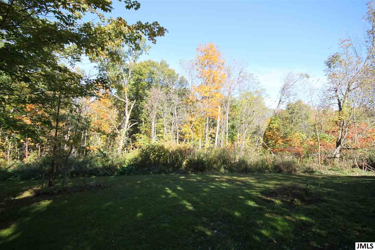 12800 North Meridian Road Pleasant Lake, MI 49272 - Photo 3 of 31 Photo 3