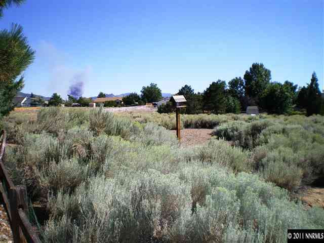 1073 Log Cabin Road Gardnerville, NV 89410 - Photo 4 of 13 Photo 4