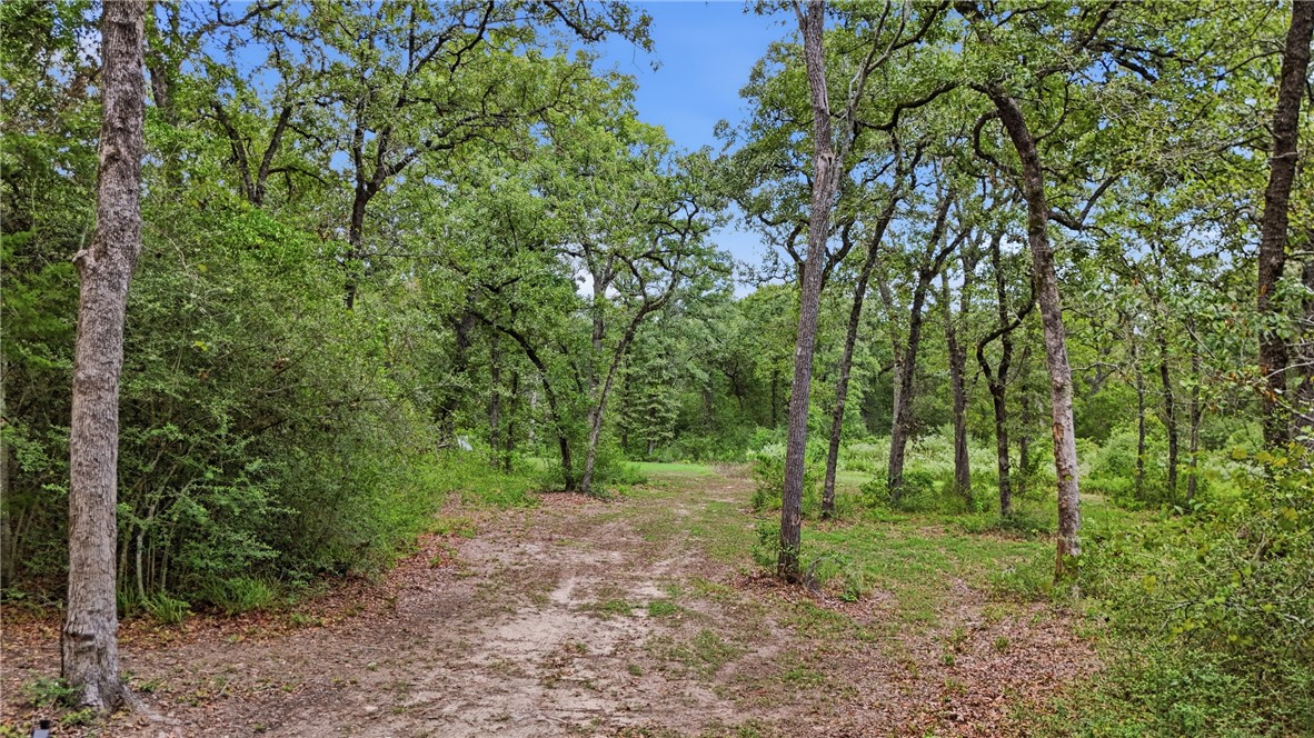 1629 Sawmill Road Franklin, TX 77856 - Photo 45 of 50 Gallery Image 45