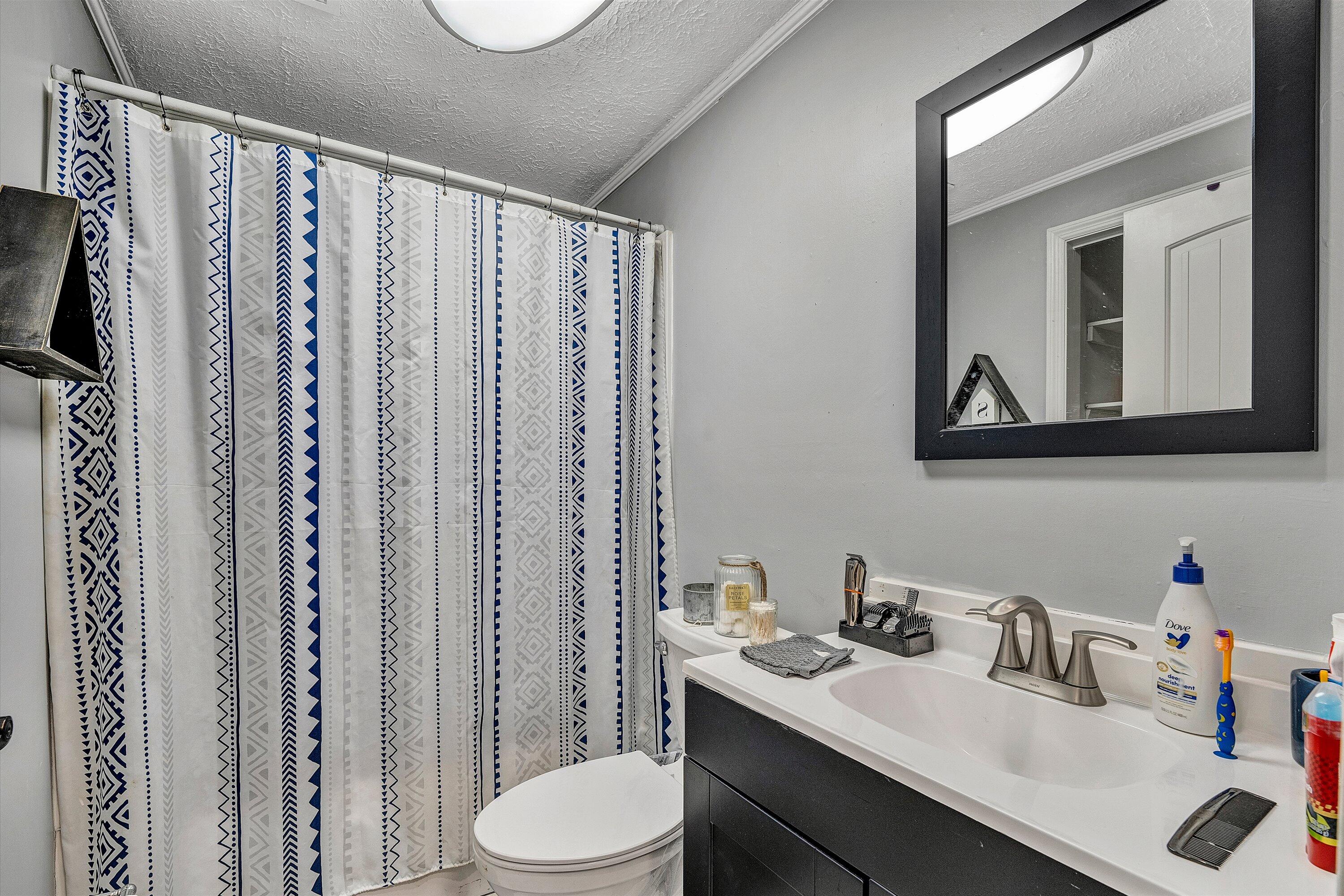 2095 Webster Road Glade Hill, VA 24092 - Photo 9 of 20 a bathroom with a sink vanity mirror and toilet
