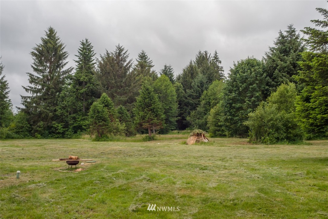 430 West Homer Adams Road Elma, WA 98541 - Photo 3 of 24 Gallery Image 3