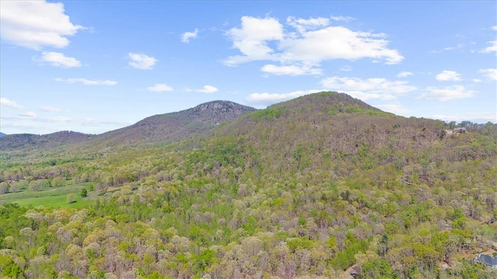 0 Waterside Trail Cleveland, GA 30528 - Photo 14 of 32 a view of a houses with a mountain in the background