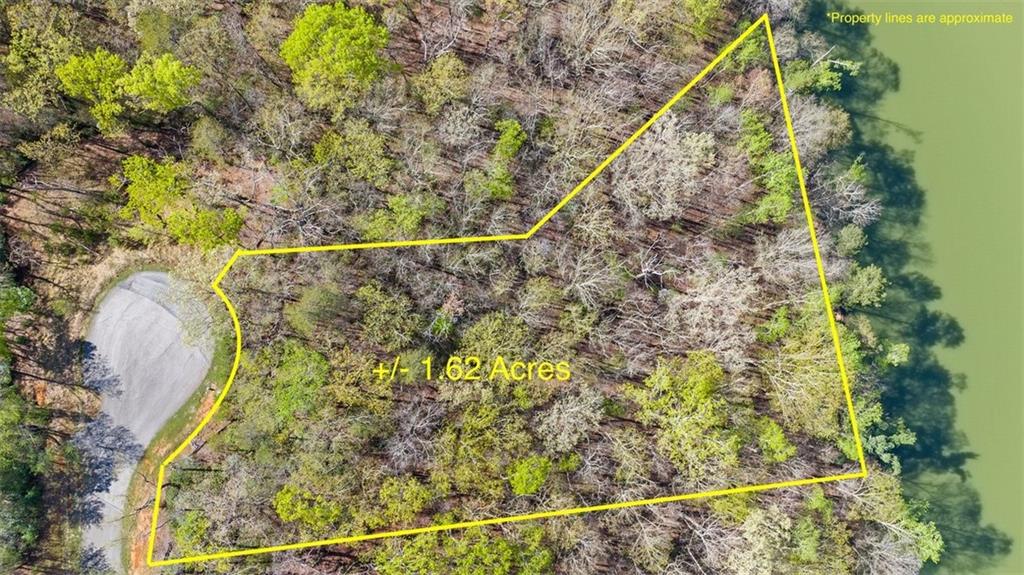 0 Waterside Trail Cleveland, GA 30528 - Photo 3 of 32 a view of a forest