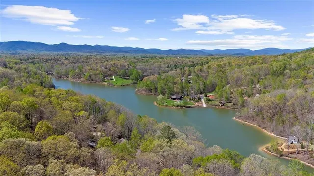 a view of a lake with a mountain