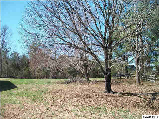 1816 Old Orchard Road Free Union, VA 22940 - Photo 5 of 16 a view of a yard with a tree
