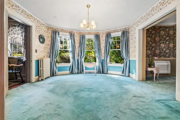 a view of a garden with plants and large trees