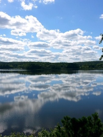 182 Stone Road East Brookfield, MA 01515 - Photo 24 of 24 Gallery Image 24