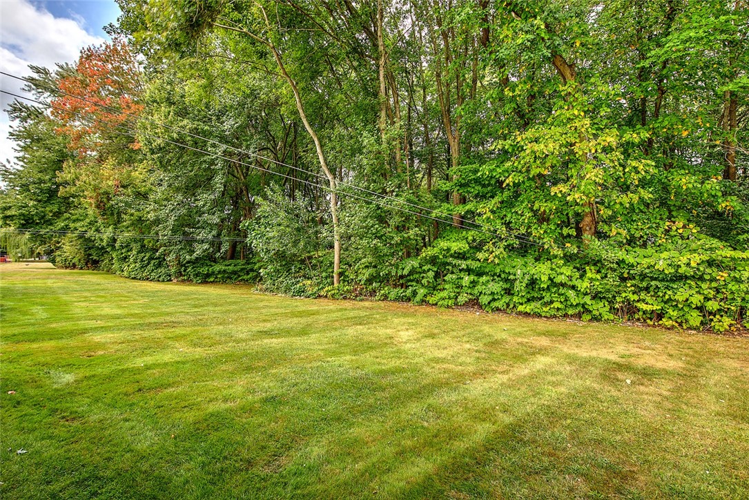53 Reed Street Warwick, RI 02886 - Photo 36 of 37 Back yard