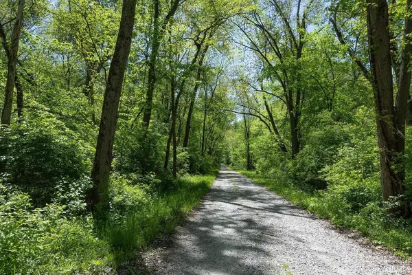 a big yard with lots of green space and deers