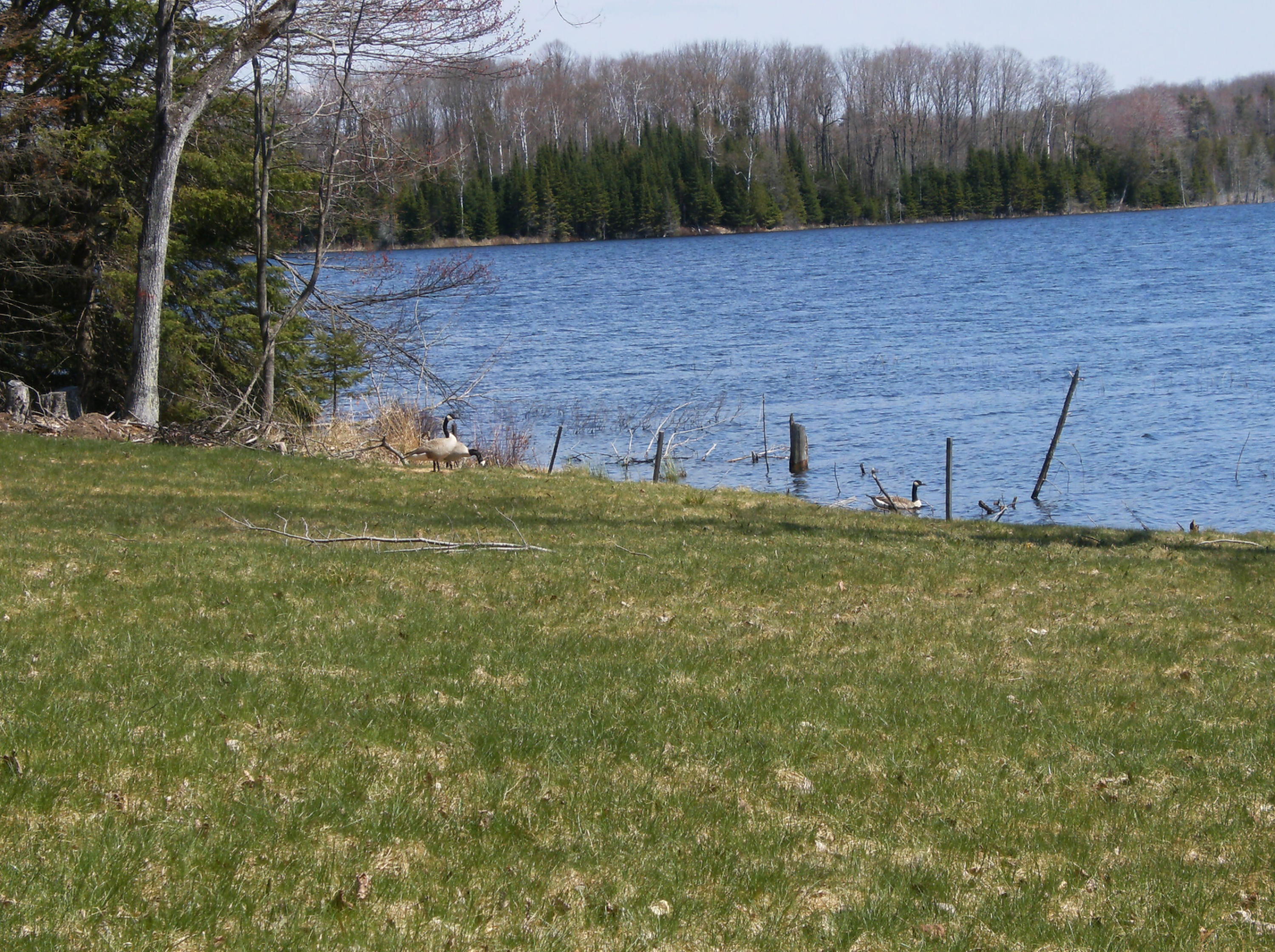 0 Chip Lake Road Germfask, MI 49836 - Photo 1 of 6 Gallery Image 1