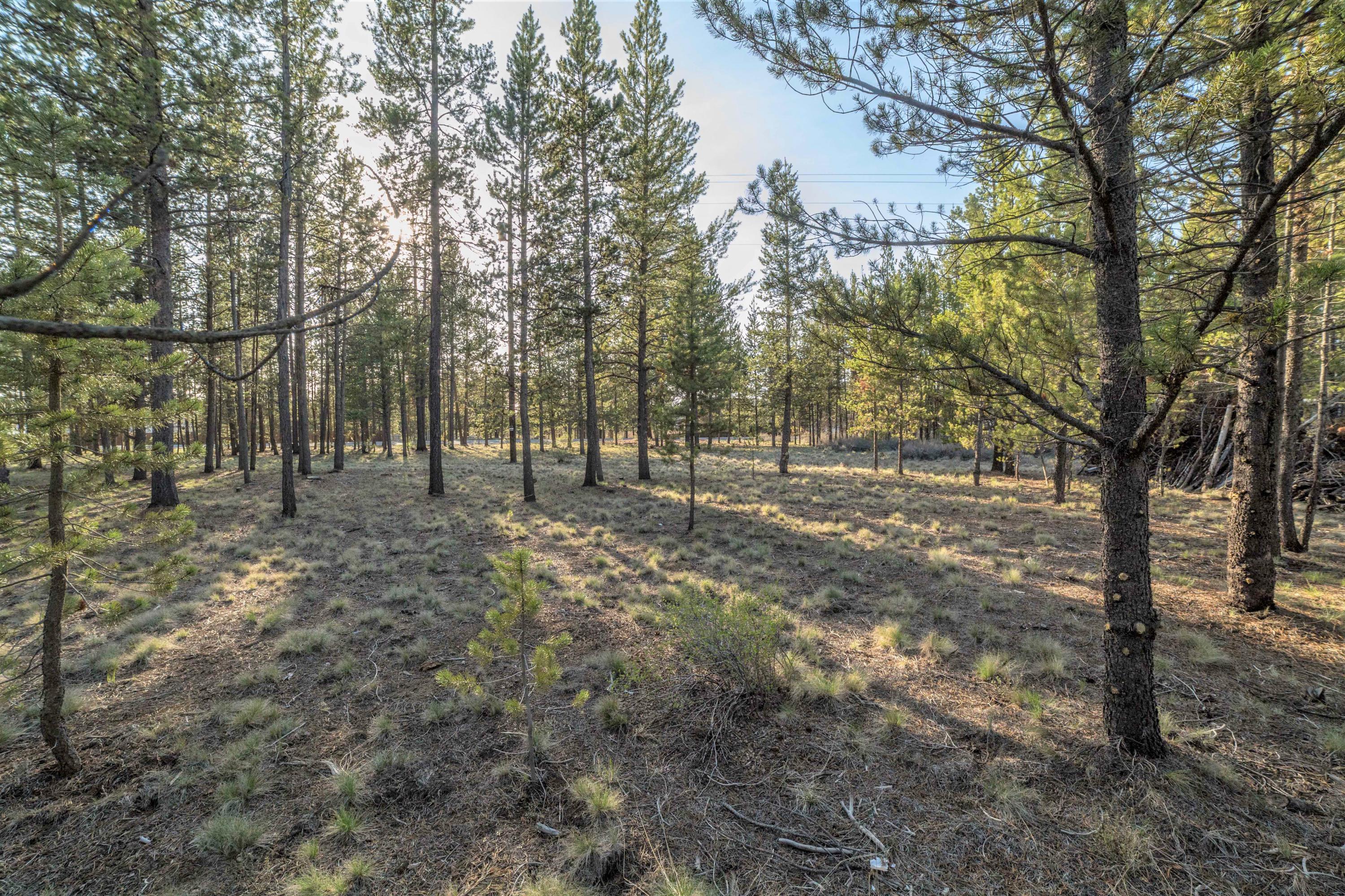 54920 Huntington Road Bend, OR 97707 - Photo 14 of 32 Huntington Property-7