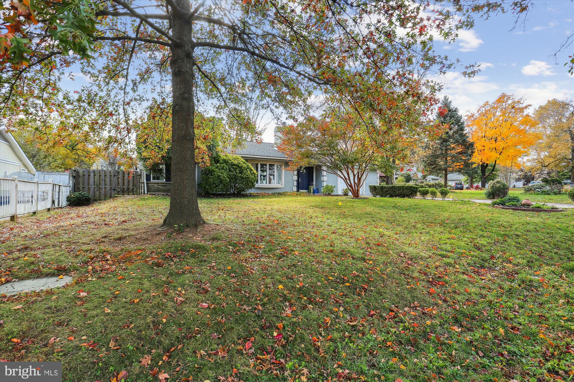 19500 Wootton Avenue Poolesville, MD 20837 - Photo 59 of 62 a view of a tree in front of a house with a yard