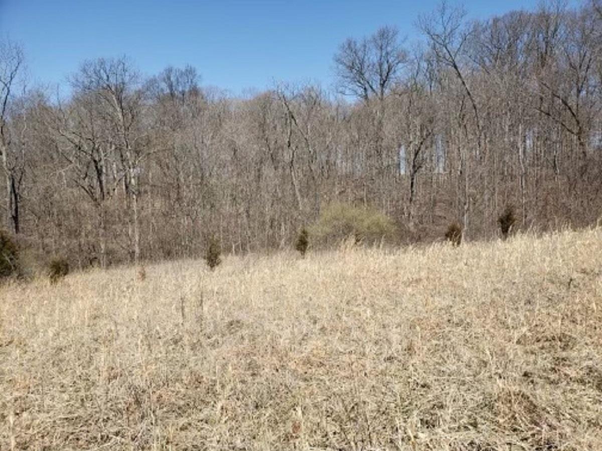 9835 South Snow Road Bloomington, IN 47403 - Photo 2 of 7