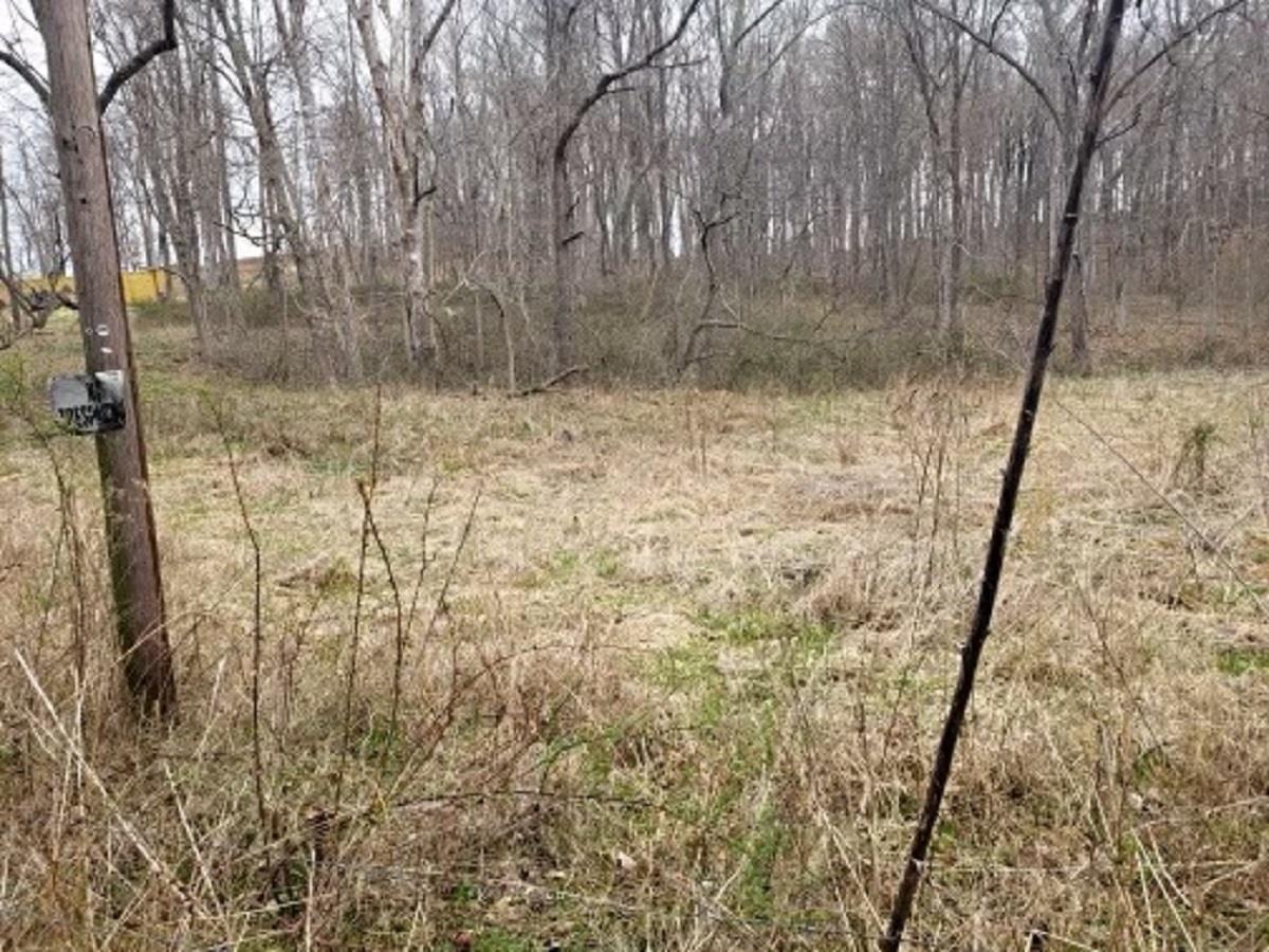 9835 South Snow Road Bloomington, IN 47403 - Photo 3 of 7